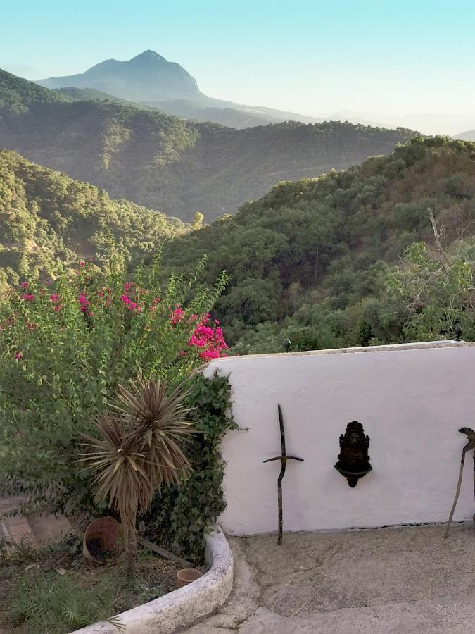 Naturaleza Y Arte En La Casa Del Molino Genalguacil Eksteriør bilde